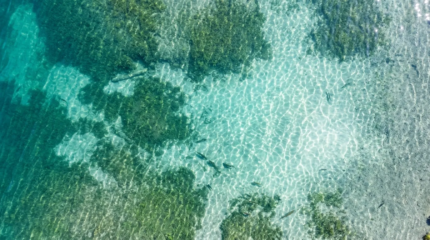 How To Improve Pond Water Quality: A Practical Guide