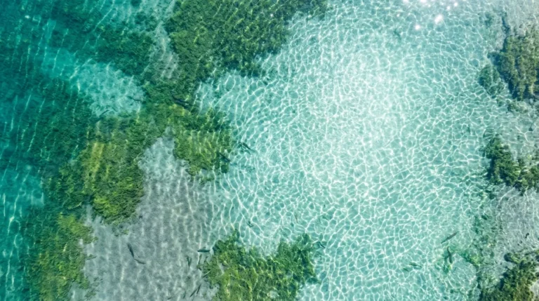 Lake Restoration Companies: How To Hire the Right One