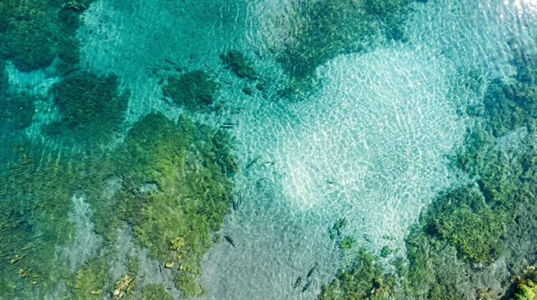 Nanobubble Lake Restoration: Does It Really Work?