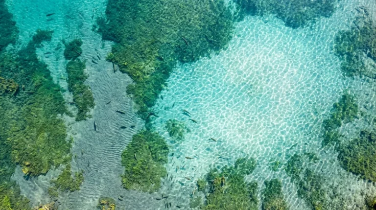 Lake Restoration Permits: A Plain-English Guide